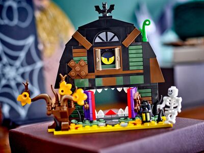 LEGO_40721_Lifestyle_envr_2.jpg