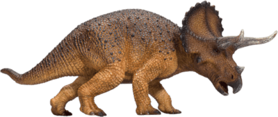 387364_Triceratops_1-540x540.png