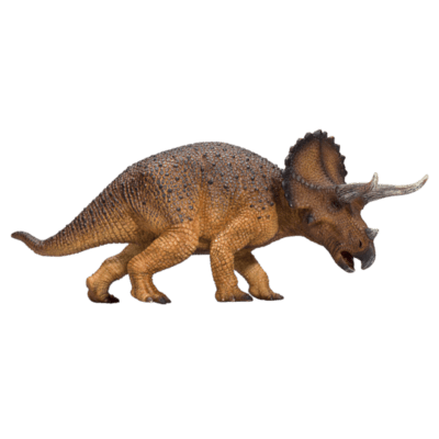 387364_Triceratops_1-540x540.png