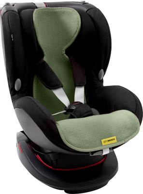 AGS/AL-1-MO/AL-1-MO-carseat.jpg