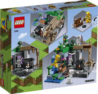 LEGO_21189_Box5_v39.jpg