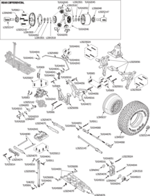 rear