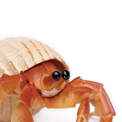 53feee046000x1000_crop_center.jpg