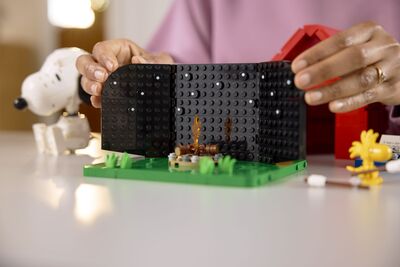 LEGO_21368_Lifestyle_Build_06.jpg