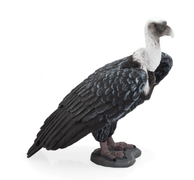 387165_GRIFFON_VULTURE-540x500.png