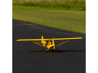 HAN5005-04.jpg