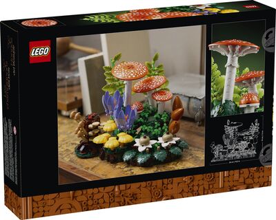 LEGO_11505_Box5_v39.jpg