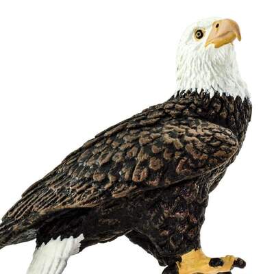 a590c5f424b8a2f0ede350eee5bba853ae8ff351_1000x1000_crop_center.jpg