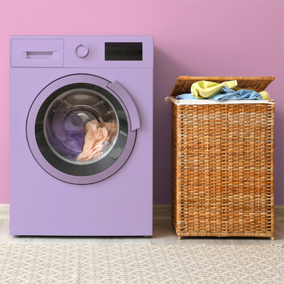 AGS/16725-1/BS_DIS_Evergreen_Washing_Machine_no_text_LS_THDD_2.jpg