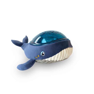 AGS/AAQ01-WHALE/0aqua-dream-packshot-avril2019-2500x2500pixel-HD300path-unsmushed-1.jpg
