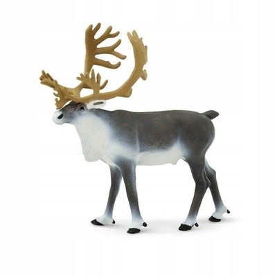 Renifer-Tundrowy-Caribou-Safari-Ltd-182229-Rodzaj-produktu-zwierze.jpg