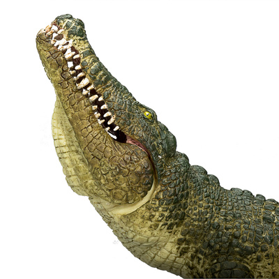 387162_4.animal.jpg