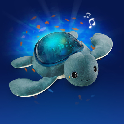AGS/AAQ02R-TURTLE/2.jpg