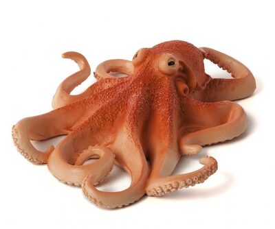 387275_OCTOPUS-e1485447372165-540x451.jpg