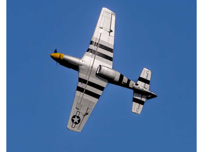 EFL02650-05.jpg