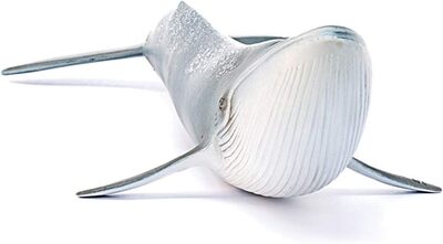 61AU9-rersL._AC_SL1500_.jpg