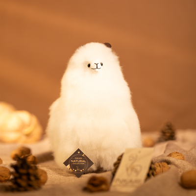 Imag83783udio Pic.jpg