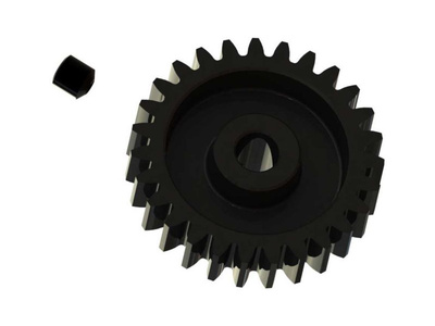 ARA310940.jpg