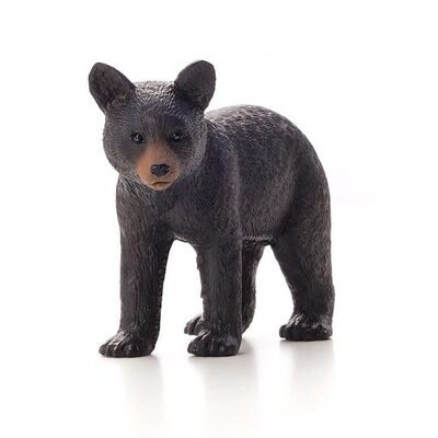 387287-Black-Bear-Cub_w-540x540.jpg