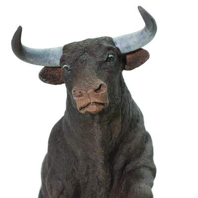 dc13denter.jpg