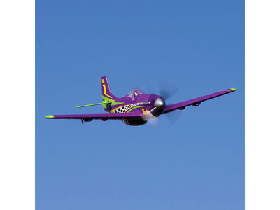 EFLU4350-02.jpg