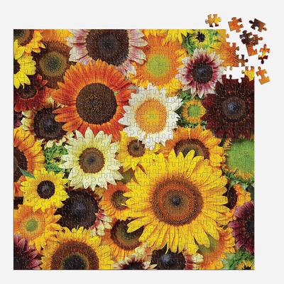 9780735374904_2.puzzle.jpg
