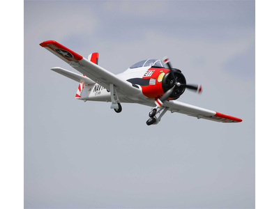 EFL18350_10.jpg