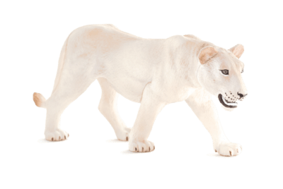 387207_White_Lioness1-540x362.png