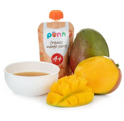986-1_salvest-ponn-bio-mango-100-100-g.jpg