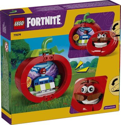 LEGO_77079_Box5_v29.jpg