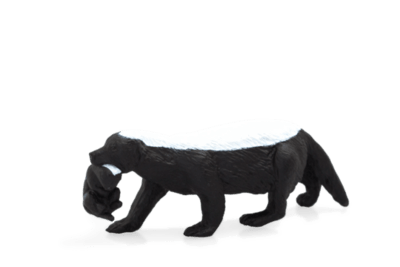 387153_HONEY_BADGER_FEMALE_WITH_CUB-540x360.png