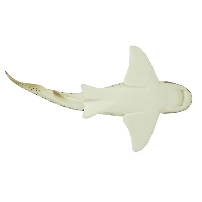 fdb3d4f16905daab718879center.jpg