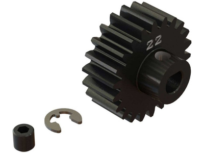ARA310969.jpg