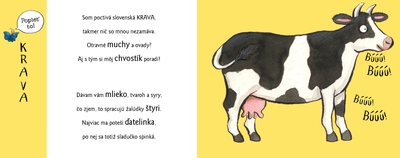 1da1668844ff367be578fa3ad4000311.jpg