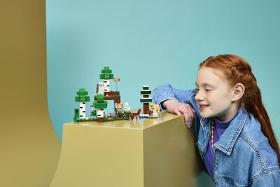 LEGO_21593_Lifestyle_Envr.jpg