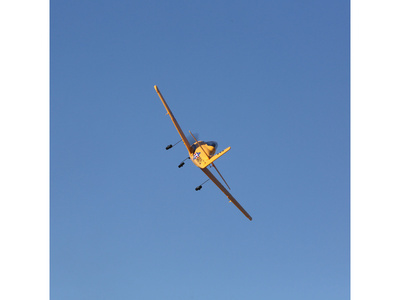 EFL08250_16.jpg