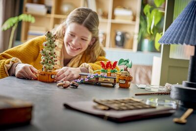 LEGO_76474_Lifestyle_cons.jpg