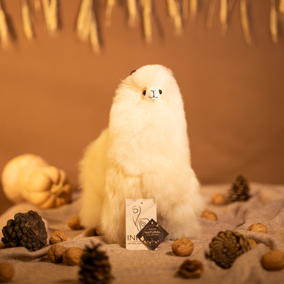 Imageioiôudio Pic.jpg