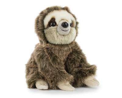 ANIMALES-REAL-T3-BULK-OSO-PEREZOSO-02.jpg