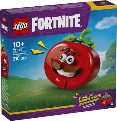 LEGO_77079_Box1_v29.jpg