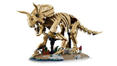LEGO_77985_WEB_SEC02_NOBG.jpg