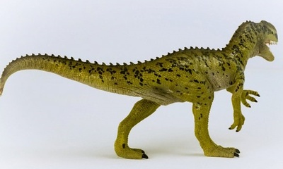 OLP102615035_5.jpg