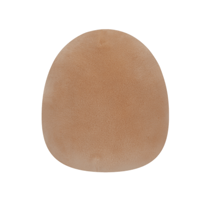 file_en_151913_l.png