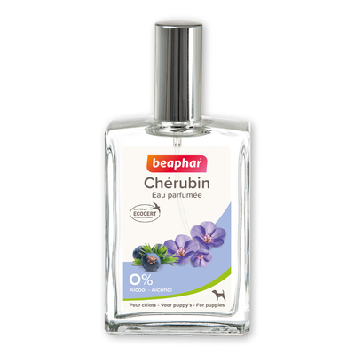 12075_Ecommerce_Parfum-Puppy_FR_2023-1.jpg