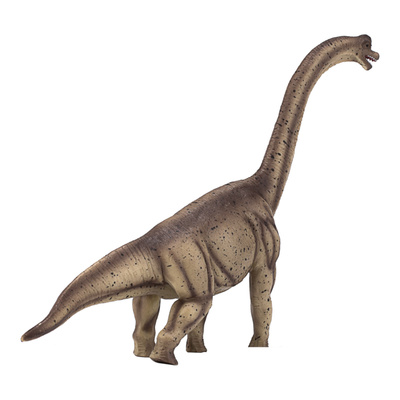 387381_2.animal.jpg