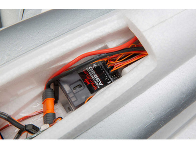 EFL01500_a14.jpg