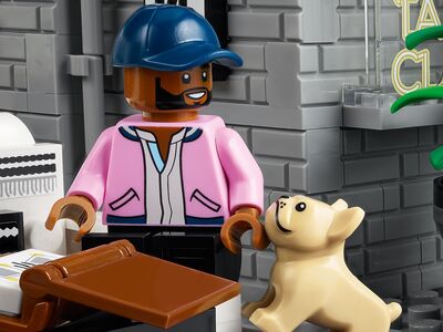 LEGO_10291_alt7.jpg