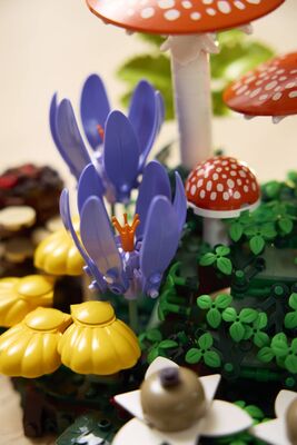 LEGO_11505_Lifestyle_Build_06.jpg