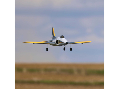 EFL0950_07.jpg