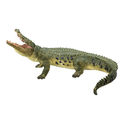 387162_3.animal.jpg